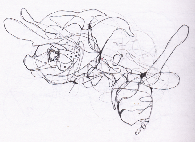 Automatisches Zeichnen